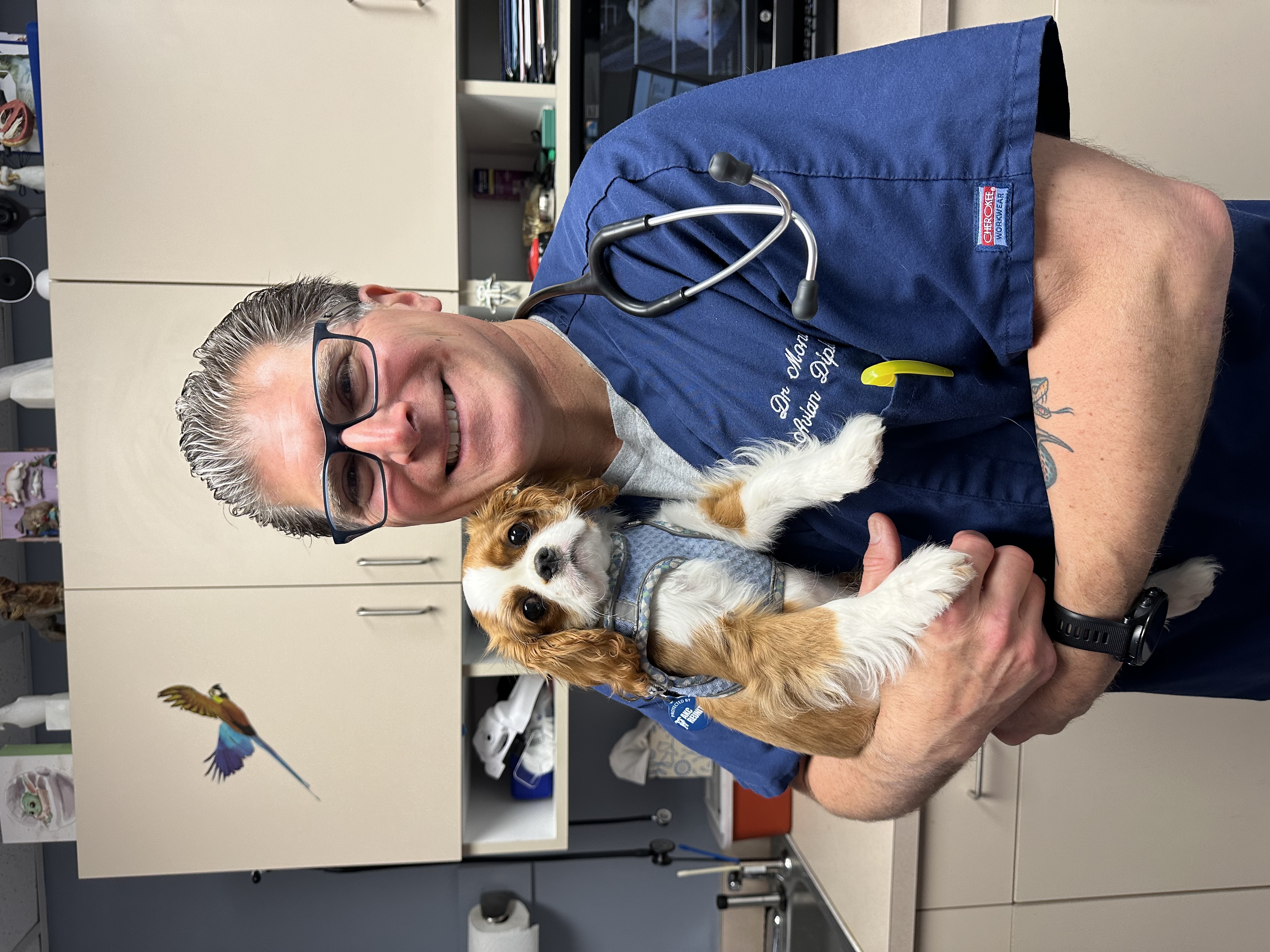 About Old Country Animal Clinic's Founder | Long Island, NY